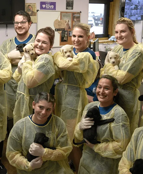 Panhandle Animal Welfare Society
